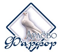 Дулевский фарфоровый завод